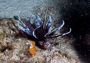 BP1010097.jpg
