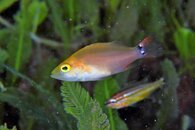 IMG_4158wa.jpg