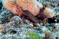 DP1010060.jpg