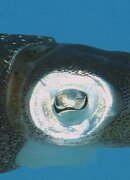 Bonaire plus_0795.JPG