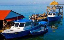 altons dock boats for email.jpg