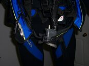 Cruise BCD2.jpg