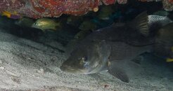 _DSC8701.jpg
