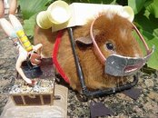 Guinea Pig Rebreather.jpg