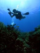 n38301629_33246119_3314.jpg