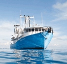 boat.gif