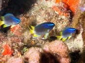 IMG_6138.jpg