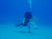 St. Croix 204.jpg