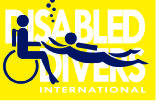 DDI logo.jpg