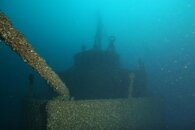 Morrell Bow 7 23 11 (5).jpg