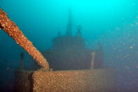 Morrell%20Bow%207%2023%2011%20(5) copy.jpg