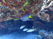 94075904-88F3-46CE-A7B0-6DD512B0CC22.jpeg