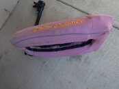 pink1.JPG