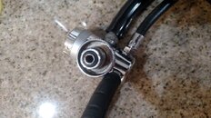 IMG_20200728_035109330.jpg