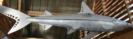 aluminum-shark.jpg