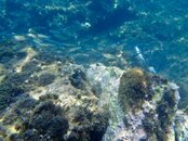 2011 Malta-4e11bac0.jpg