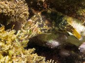 2011 Malta-4e11bdf4.jpg