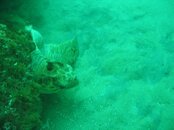 IMG_9894.jpg