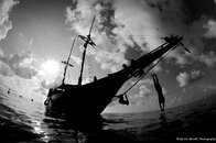 wicked-diving-expedition-bw-med.jpg