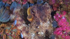 Destin Octo 2011 08 07 03.jpg