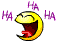 hahaha.gif