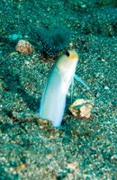 DSC_0974.jpg