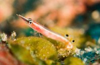 DSC_1057.jpg