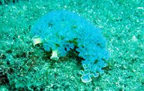 DSC_1116.jpg