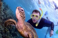 Turtle & Passanger.jpg