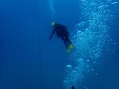0D79D0C1-EDCD-4550-A769-64A3D9516C79.jpeg