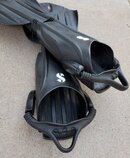 20200817_071806.jpg