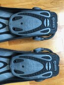 IMG_4574.jpeg