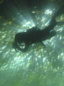 Dive 690-691 045.jpg