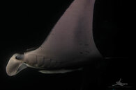 upload-1040997.jpg