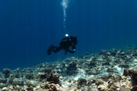 upload-1050337.jpg