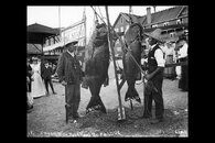 black sea bass- 1800s  (Museum) 04.jpg