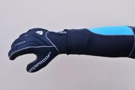 GLOVE_3.jpg