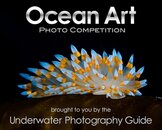 Ocean Art logo_resize.jpg