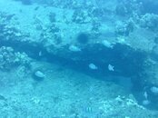 Hawaii scuba trip 2011 001.jpg