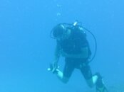 Hawaii scuba trip 2011 011.jpg