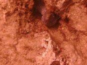 Hawaii scuba trip 2011 053.jpg
