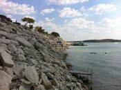 IMG_0707.jpg