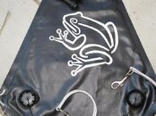 FrogWing CloseUp.jpg