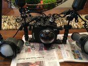 IMG_1022.jpeg
