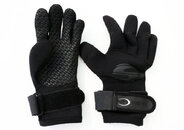 DS Gloves1.jpg