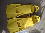 PXL_20201021_135344062.jpg