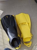 PXL_20201021_135404665.jpg