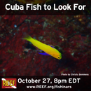 Cuba Fish to Look For Fishinar.png