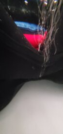 20201022_135125.jpg
