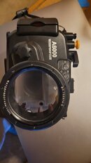 20201026_161753.jpg